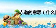 赤道的意思(什么是赤道)
