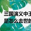 三国演义中王双是怎么死的（三国演义中王双是怎么去世的）