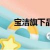 宝洁旗下品牌（宝洁旗下有哪些品牌）
