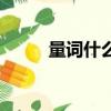 量词什么意思（量词是什么意思）