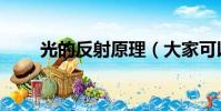 光的反射原理(大家可以学习一下)
