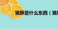 猪脬是什么东西(猪脬的解释)