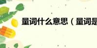 量词什么意思(量词是什么意思)