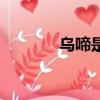 乌啼是什么意思（乌啼解释）