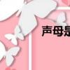 声母是什么（声母专业解释）