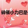 碎催小力巴是什么意思（碎催小力巴指什么）