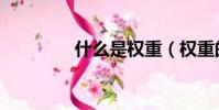 什么是权重(权重的意思)