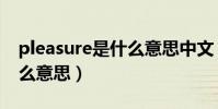pleasure是什么意思中文(英语pleasure什么意思)