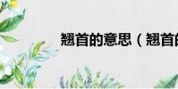 翘首的意思(翘首的解释)
