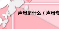 声母是什么(声母专业解释)