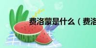 费洛蒙是什么(费洛蒙解释)