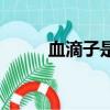血滴子是什么东西（血滴子解释）