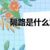 隔路是什么意思（词语隔路是什么意思）