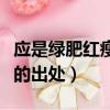 应是绿肥红瘦的红瘦是什么花（应是绿肥红瘦的出处）