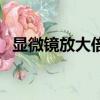 显微镜放大倍数（显微镜放大倍数是多少）