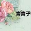 青青子衿什么意思（出自哪里）