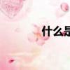 什么是祈使句（祈使句简述）