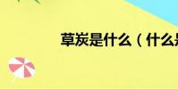 草炭是什么(什么是草炭)