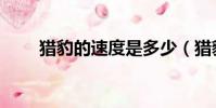 猎豹的速度是多少(猎豹能跑多久)