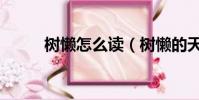 树懒怎么读(树懒的天敌是什么)