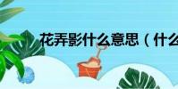 花弄影什么意思(什么是花弄影)