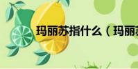 玛丽苏指什么(玛丽苏的意思)