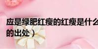应是绿肥红瘦的红瘦是什么花(应是绿肥红瘦的出处)