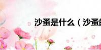 沙蚤是什么(沙蚤的介绍)