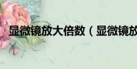 显微镜放大倍数(显微镜放大倍数是多少)