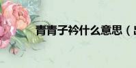 青青子衿什么意思(出自哪里)