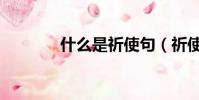 什么是祈使句(祈使句简述)