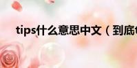 tips什么意思中文(到底tips什么意思)