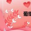 葡组词（葡字怎么组词）