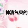 神清气爽的意思（神清气爽是什么意思）