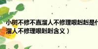 小树不修不直溜人不修理哏赳赳是什么意思(小树不修不直溜人不修理哏赳赳含义)