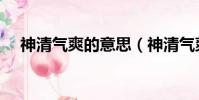 神清气爽的意思(神清气爽是什么意思)