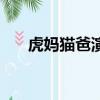 虎妈猫爸演员表（有你喜欢的演员吗）