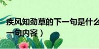 疾风知劲草的下一句是什么(疾风知劲草的下一句内容)