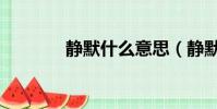 静默什么意思(静默的意思)