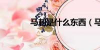 马刺是什么东西(马刺简述)