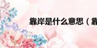 靠岸是什么意思(靠岸解释)