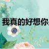 我真的好想你是什么歌（这首歌的完整歌词）