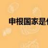 申根国家是什么意思（什么 是申根国家）