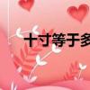 十寸等于多少厘米（10寸是多少厘米）
