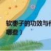 软枣子的功效与作用及禁忌（软枣子的功效与作用及禁忌有哪些）