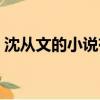 沈从文的小说有哪些（沈从文的小说有什么）
