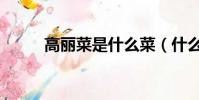 高丽菜是什么菜(什么是高丽菜)