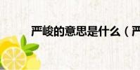 严峻的意思是什么(严峻的解释)