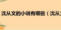 沈从文的小说有哪些(沈从文的小说有什么)