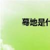 蓦地是什么意思（蓦地简单释义）
